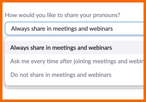 Menu for choosing how to share pronouns on Zoom