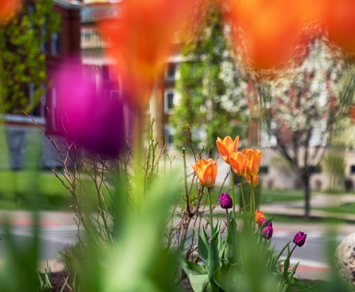 Flowers on the Shaw Quadrangle
